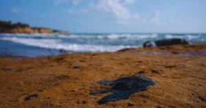 Environmentalists accuse Mexico of lying about the origins of the Gulf oil spill